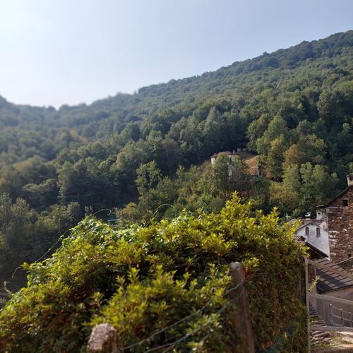 Blick ins Tal